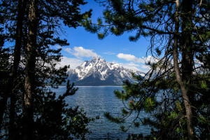 The Grand Teton