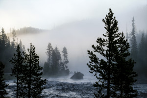 Foggy River