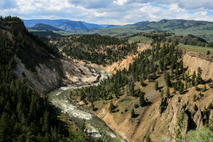 The Grand Canyon of Yellowstone