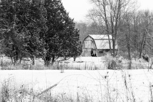 B&W Barn in Winter