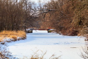 Snowy Bridge