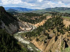 Grand Canyon of Yellowstone