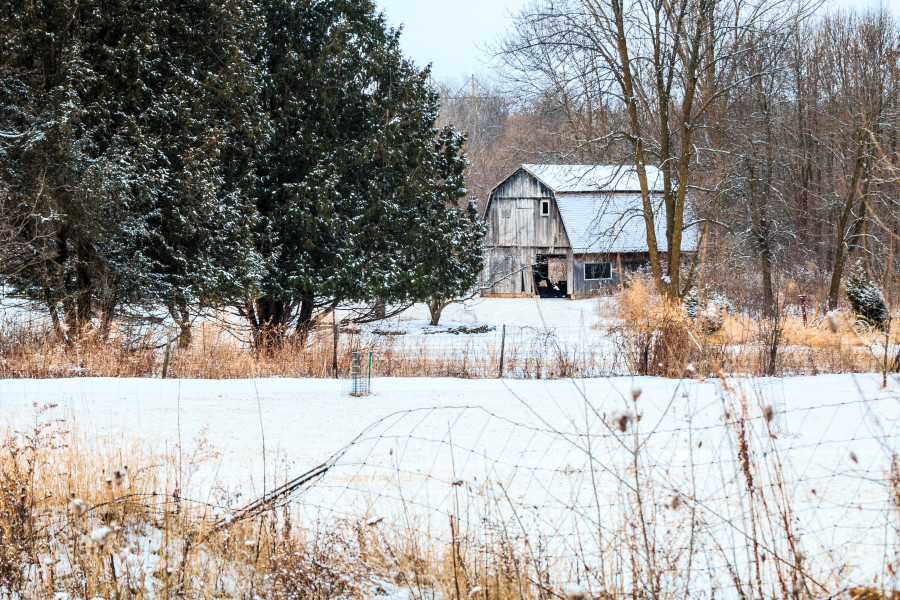 Color - Barn in Winter