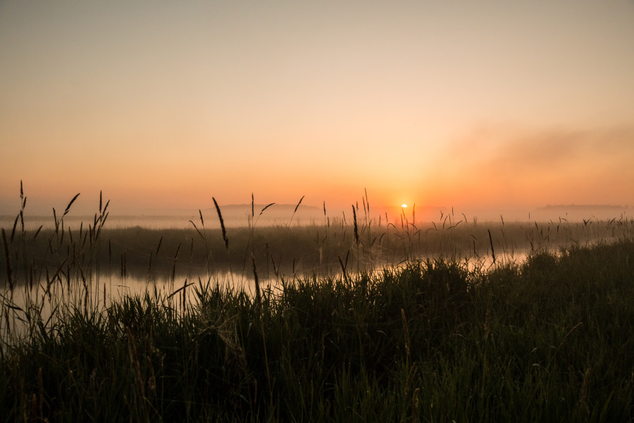 Marsh Sunrise