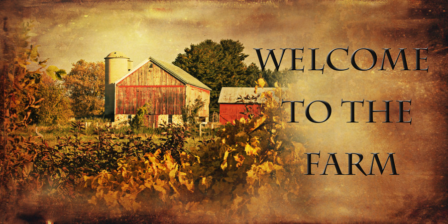 Welcome to the Farm