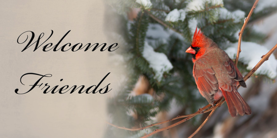 Cardinal Welcome Friends