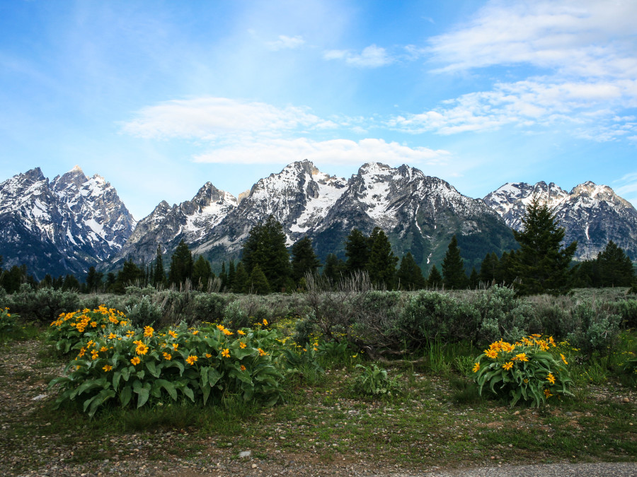 Teton Range